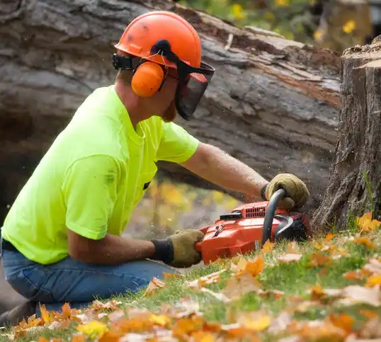 tree services North Wilkesboro